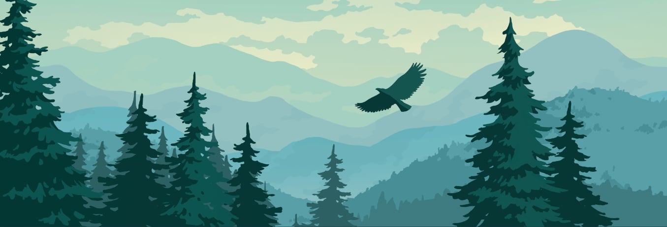 Page Banner