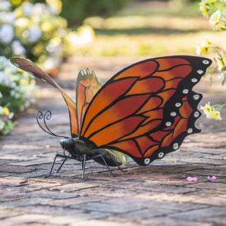Butterflies