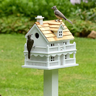 Birding & Wildlife
