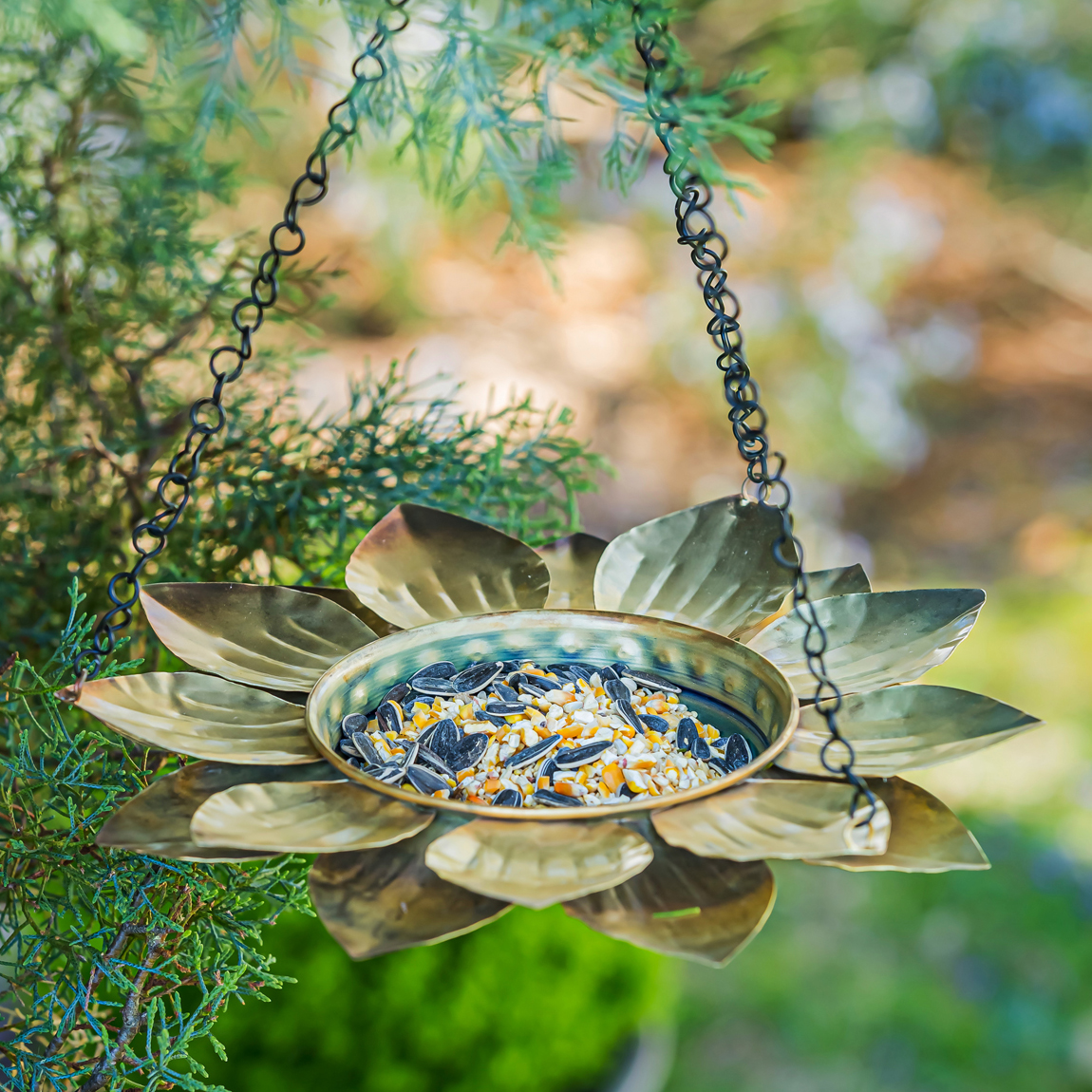 Bird Feeders & Accessories